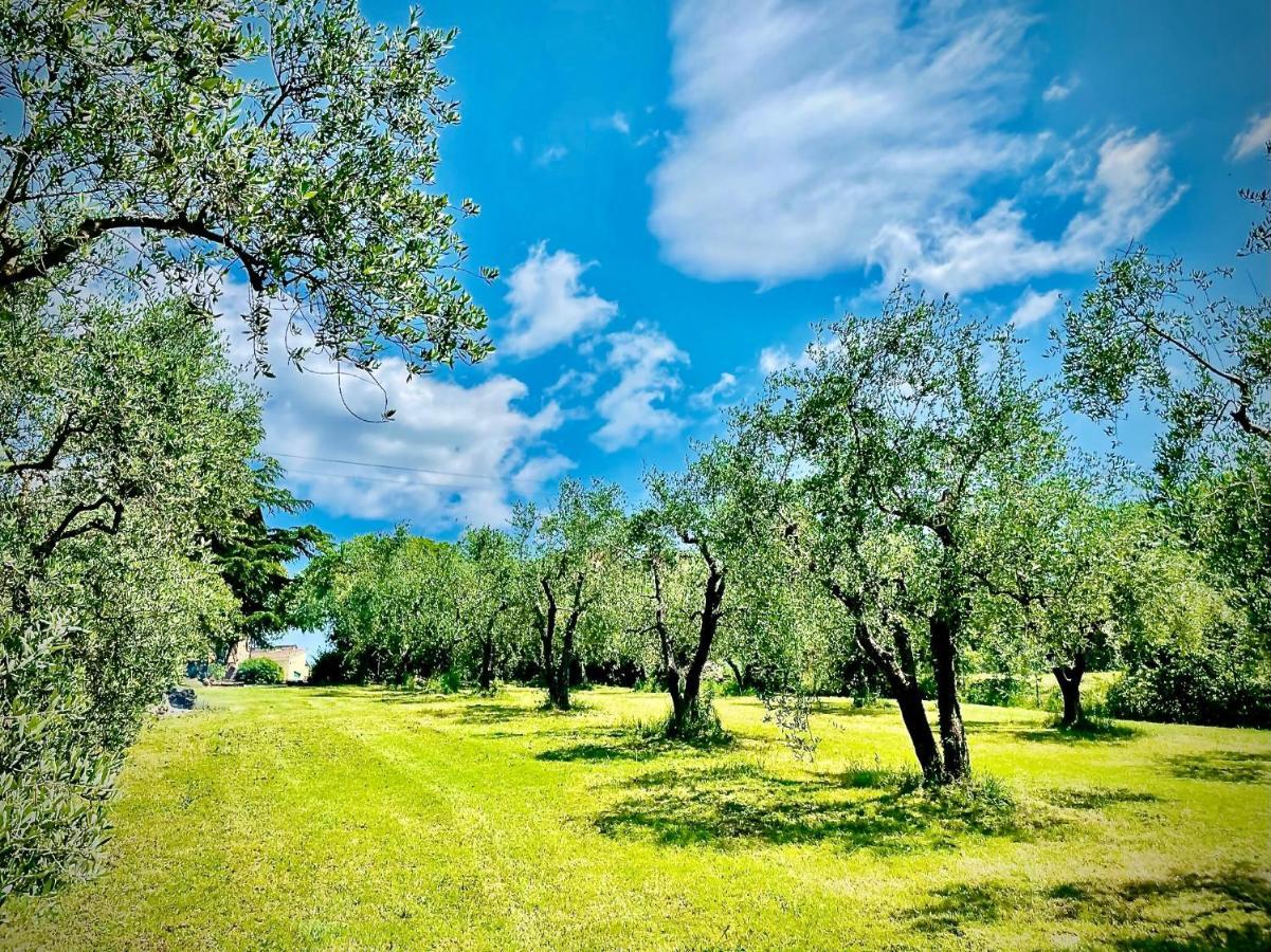 Agriturismo Casaviva Pozzo  Eksteriør billede