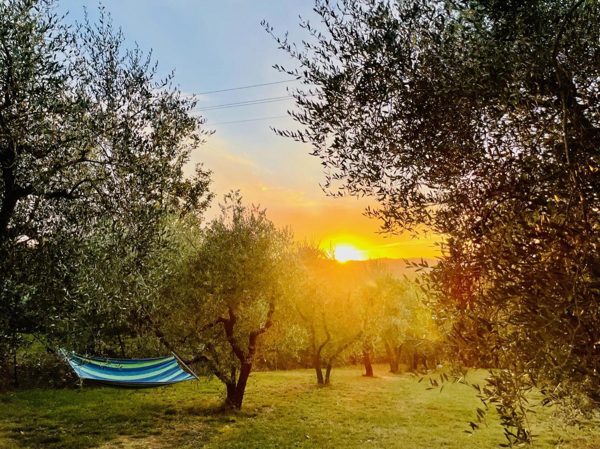 Agriturismo Casaviva Pozzo  Eksteriør billede