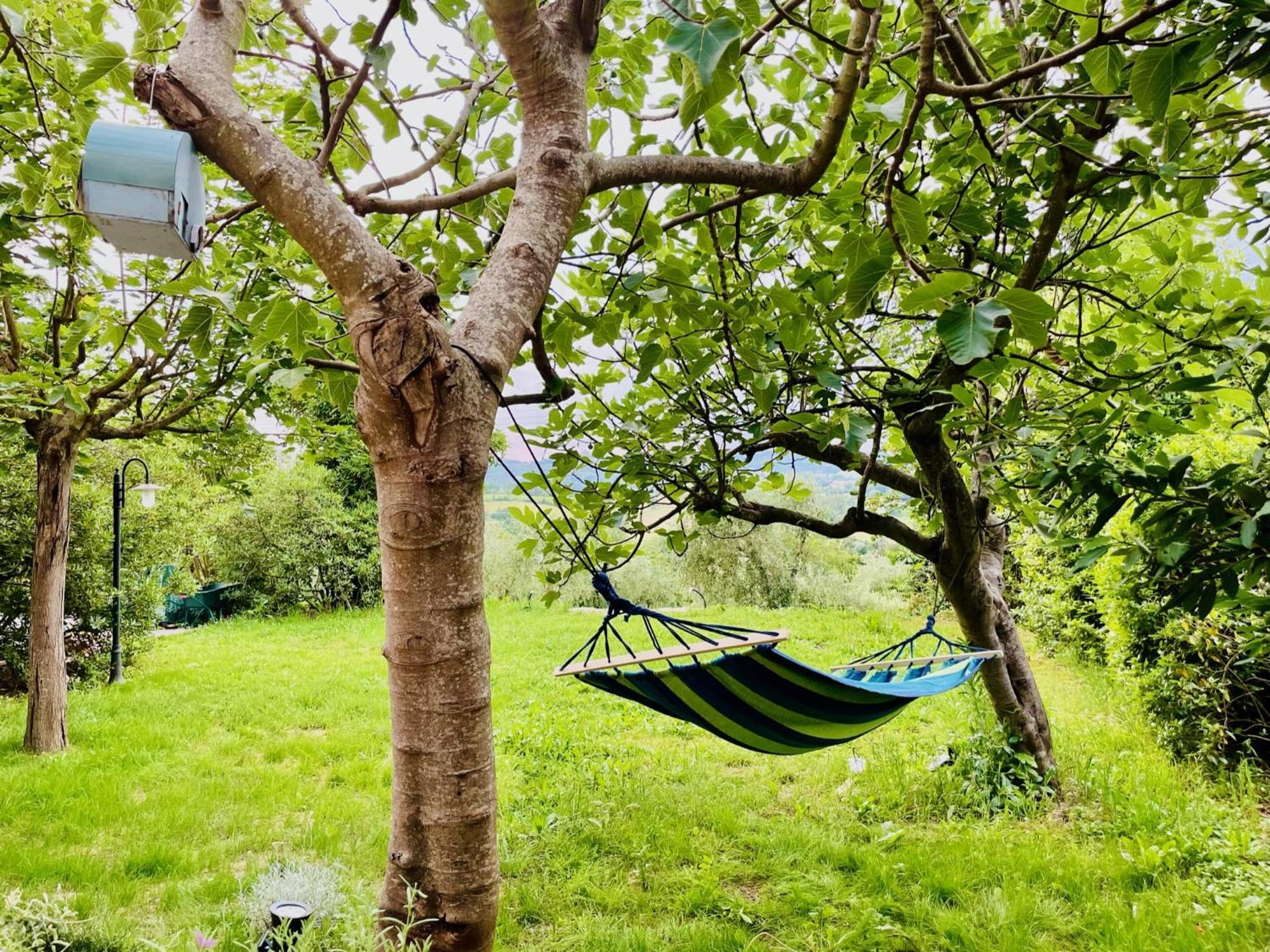 Agriturismo Casaviva Pozzo  Eksteriør billede